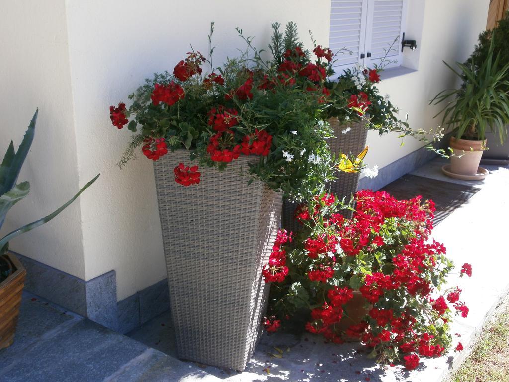 Garni Hattlerhof B&B Brunico Exterior foto